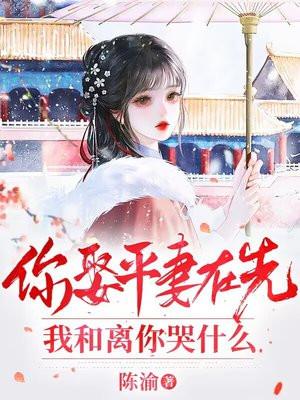 你娶平妻在先，我和离你哭什么