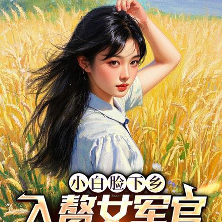 小白脸下乡，入赘女军官软饭喷香