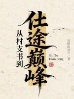 从村支书到仕途巅峰