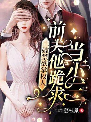 二嫁禁欲掌权人，前夫他跪求当小三